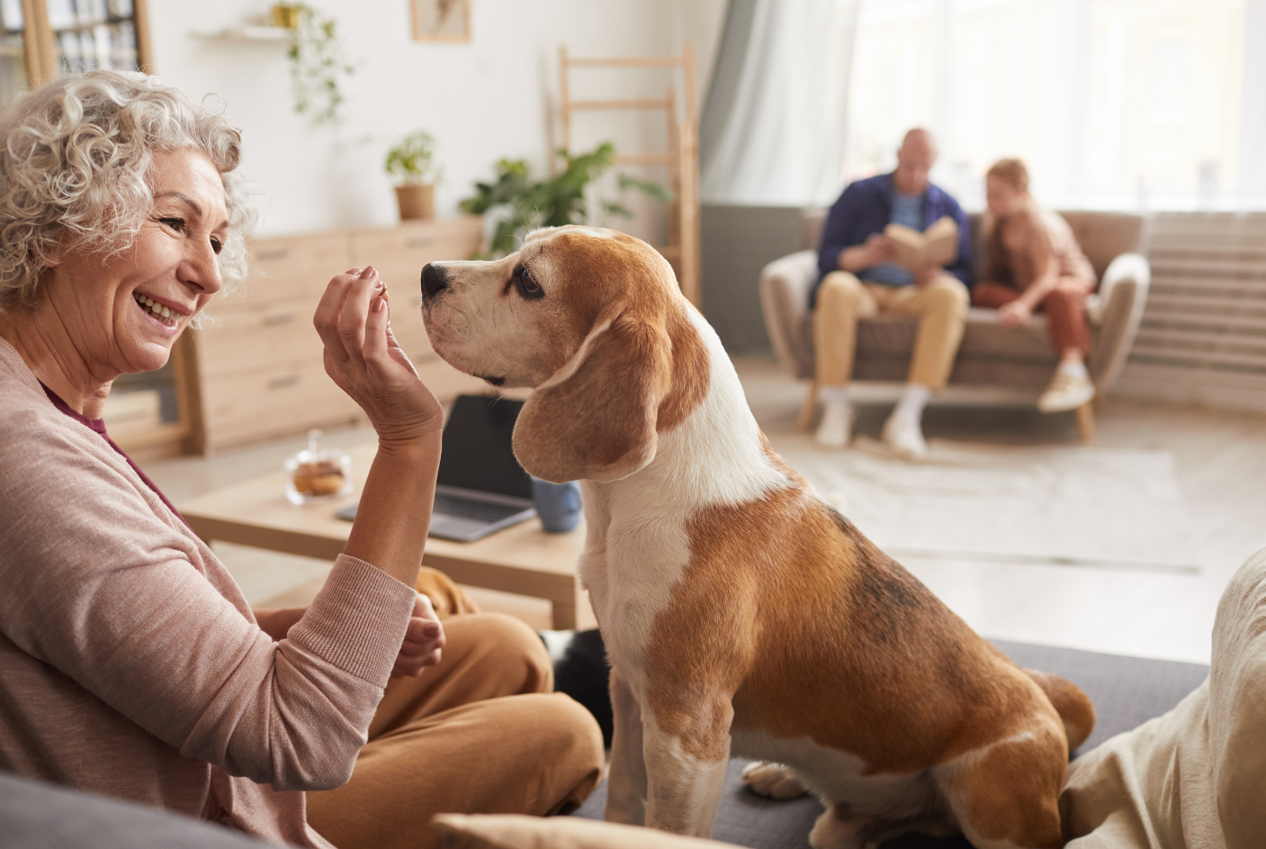 Les animaux en EHPAD : Un soutien inestimable pour les résidents